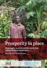 Prosperity in place for youth: Meaningful work for mobile youth that enhances forest landscapes 